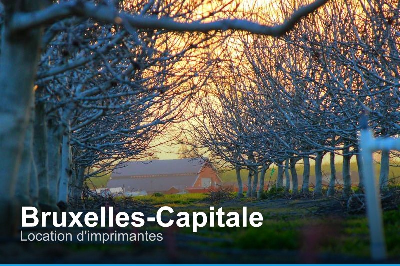 Location d'imprimantes à Bruxelles-Capitale, Belgique - Trouvez un professionnel