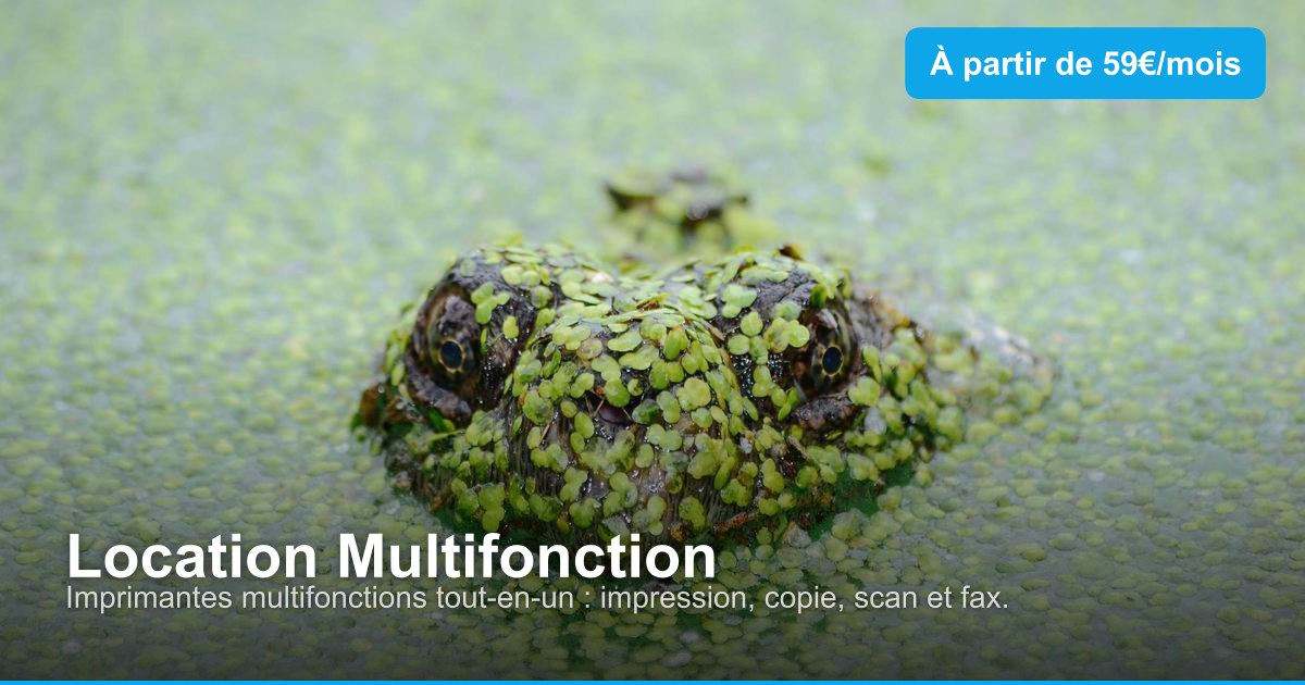 Location Multifonction